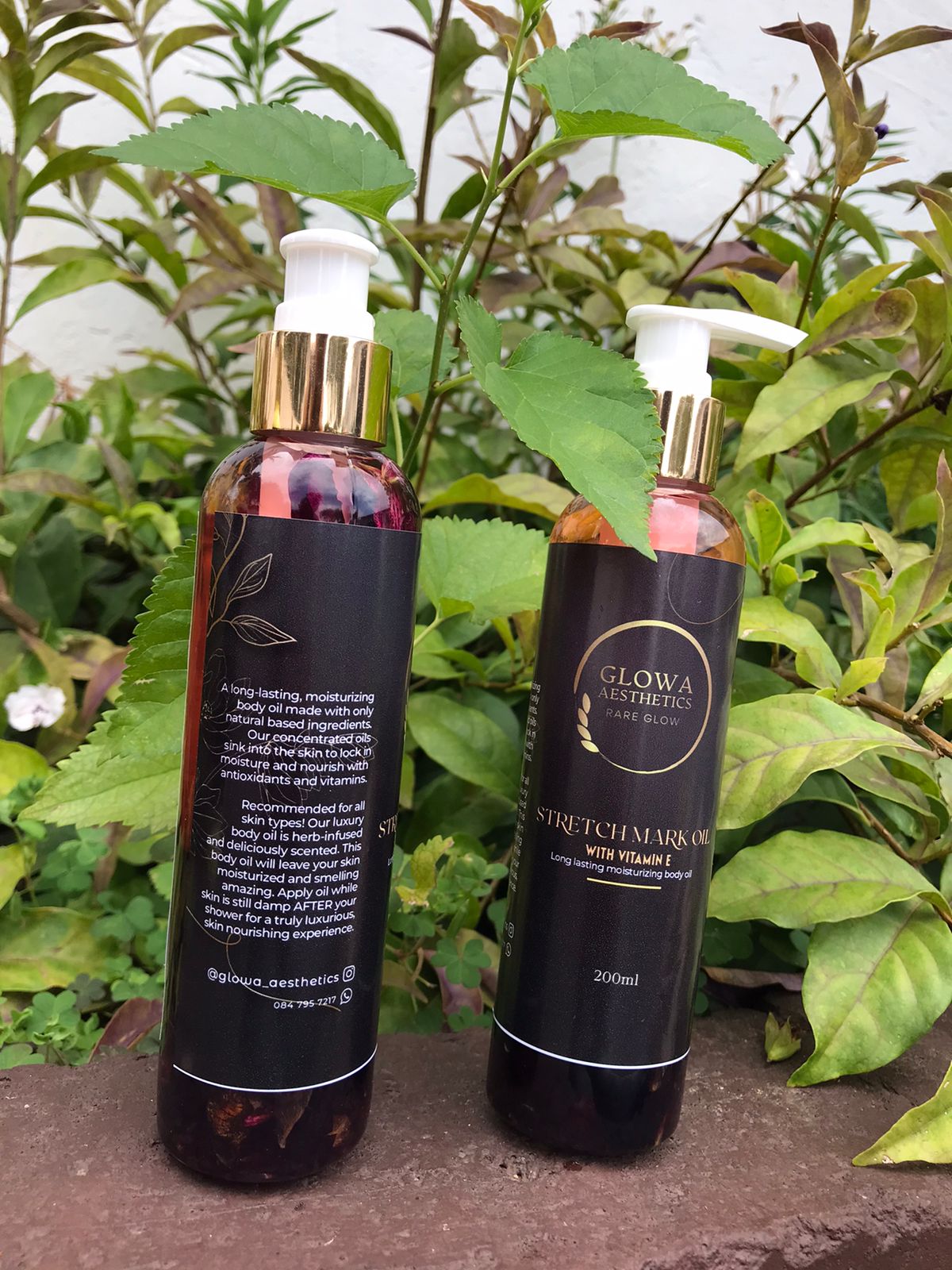 WhatsApp Image 2022-04-05 at 12.28.59 PM (1)